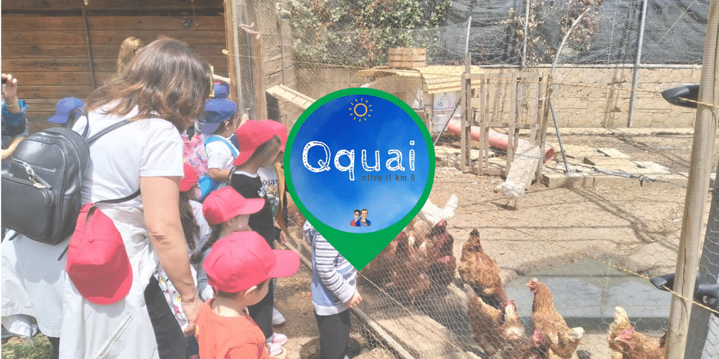 laboratori di qquai
